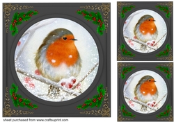 3 Beautiful Christmas robin with black frame card fronts/toppers 3