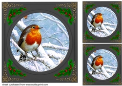 3 Beautiful Christmas robin with black frame card fronts/toppers 6