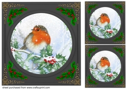 3 Beautiful Christmas robin with black frame card fronts/toppers 7