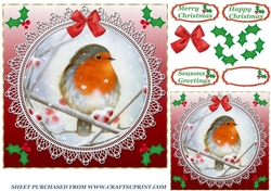 Red lace robin card front 3