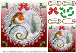 Red lace robin card front 5