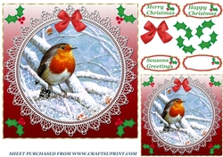 Red lace robin card front 6