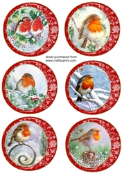 6 Robin in snowflake frame toppers