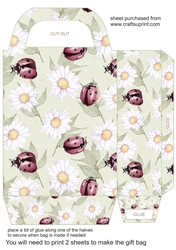 Daisy and ladybird gift bag 1