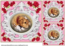 3 Pink rose pet card front/toppers 1
