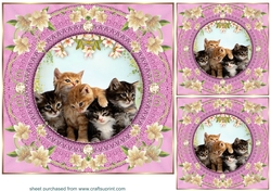3 Pink floral kitty card front/toppers 15
