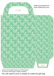 Green butterfly gift bag 1