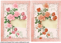 2 Light pink and peach rose note card fronts