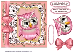 Pink owl A little birdy card front