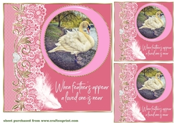 3 Pink swan A feather card front/toppers