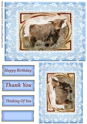 Blue butterfly frame highland cow card front