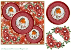 Red Christmas robin card front 4