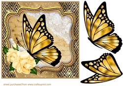 Butterfly with yellow rose frame card front