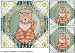 3 Ginger cat card front/toppers