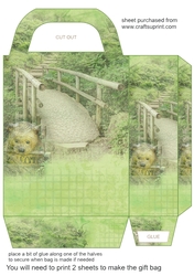 Scene gift bag 2