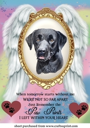 When tomorrow pet loss topper 1