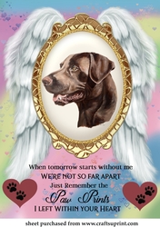 When tomorrow pet loss topper 2