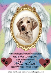When tomorrow pet loss topper 3