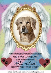 When tomorrow pet loss topper 4
