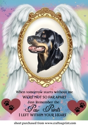 When tomorrow pet loss topper 5