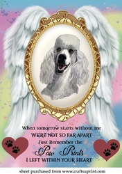When tomorrow pet loss topper 6