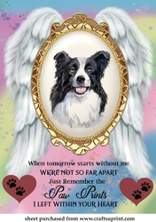 When tomorrow pet loss topper 9