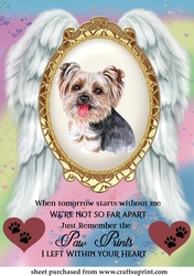 When tomorrow pet loss topper 15