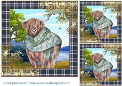 3 Highland cow card front/toppers 1