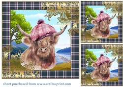 3 Highland cow card front/toppers 2