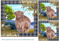3 Highland cow card front/toppers 3