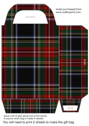 Tartan gift bag 10