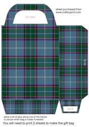 Tartan gift bag 11