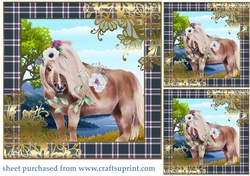 3 Floral highland pony card front/toppers 1
