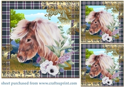 3 Floral highland pony card front/toppers 2
