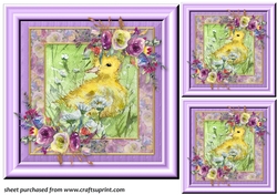 3 Lilac duckling card front/toppers