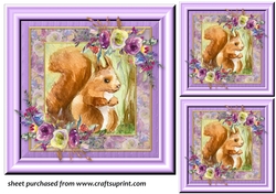 3 Floral squirrel card front/toppers