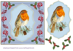 Winter bird card front 1