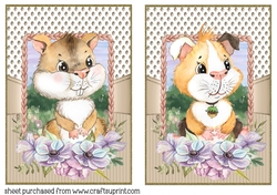 Floral hamster and guinea pig card fronts