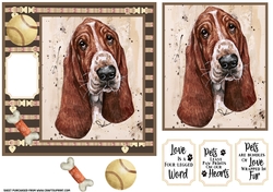 Basset hound card front