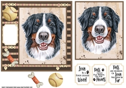 Bernese card front