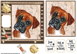Boxer card front