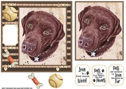 Chocolate Labrador card front 