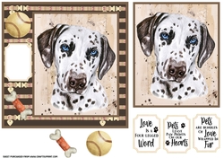 Dalmation card front