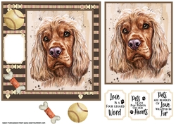 English Cocker card front