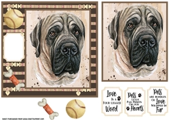 English Mastiff card front