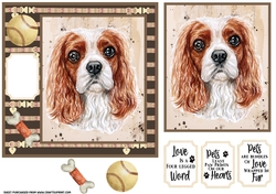 King Charles card front