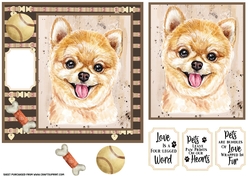 Pomeranian card front 