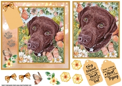 Peach floral Labrador card front 2