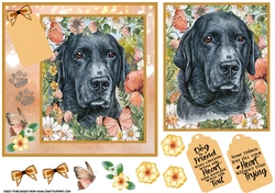 Peach floral Labrador card front 3