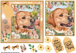Peach floral Labrador card front 6